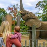 Roger Williams Park Zoo