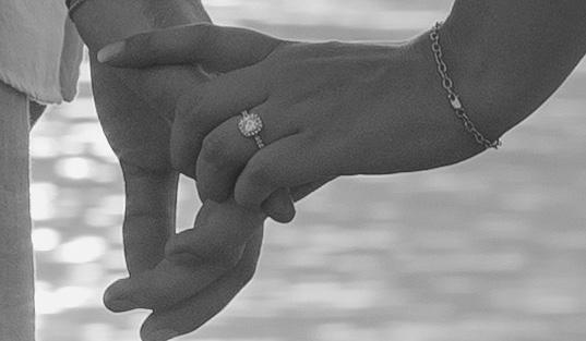 The Wedding Website of Rebecca Lerner and Trevi Alickolli
