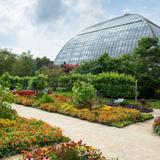 Garfield Park Conservatory