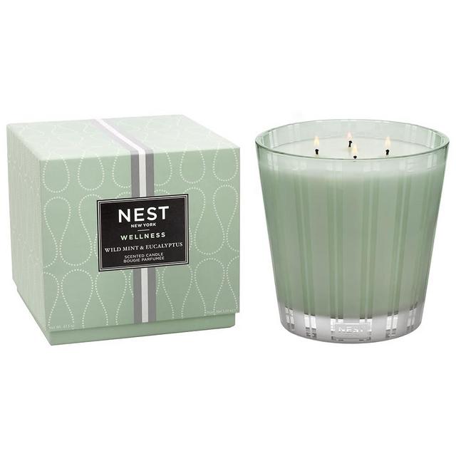 NEST Fragrances Wild Mint & Eucalyptus Scented Luxury Candle