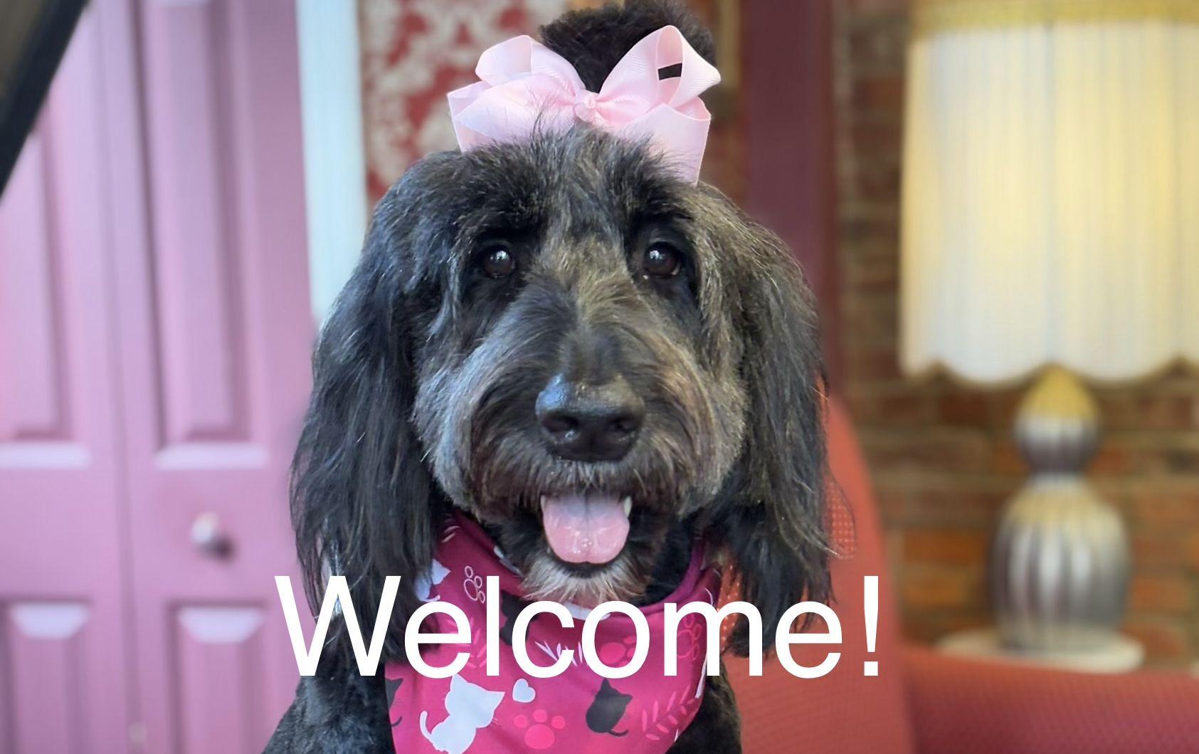 The Wedding Website of Adam Taylor and Jamie Allen