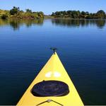 Pond and Beyond Kayak Tours