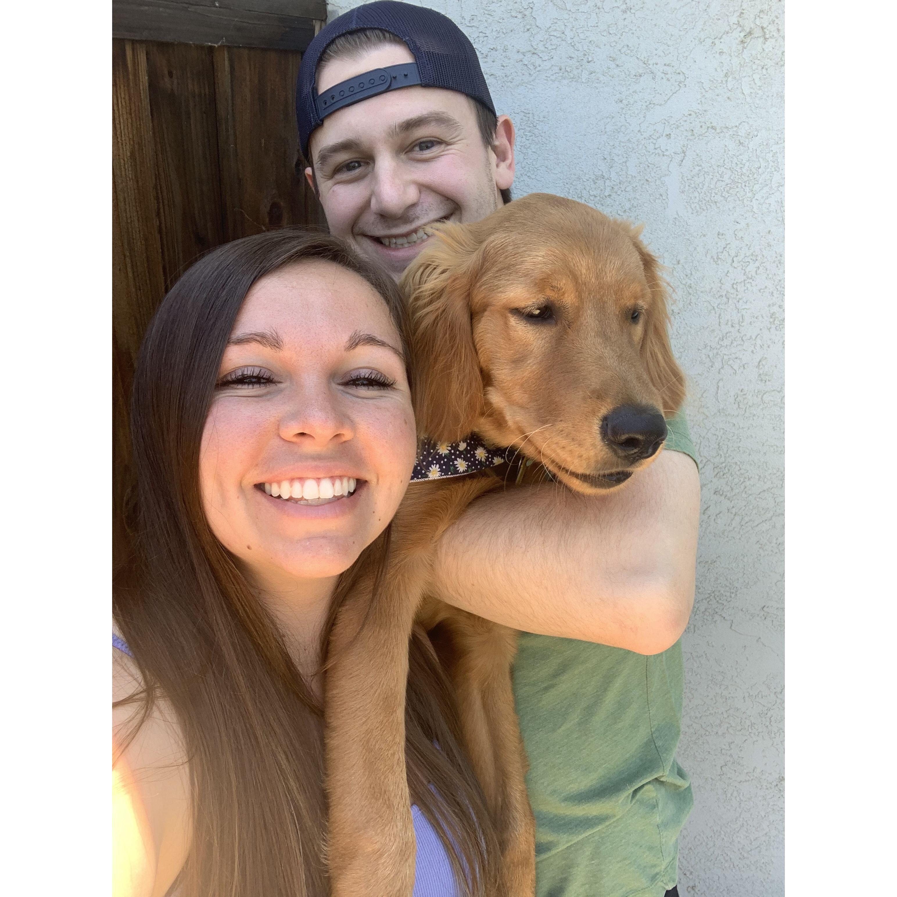 The dog Toby didn't plan on having, but also the dog that loves Toby the most.