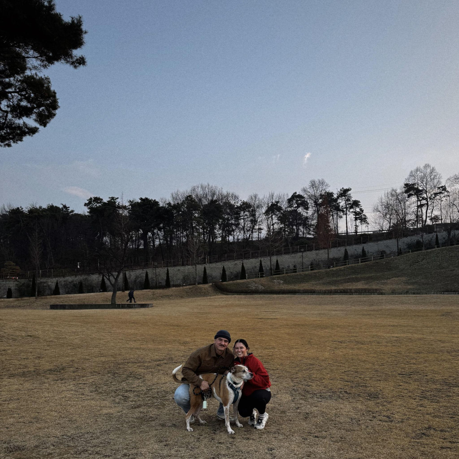 Christmas in South Korea - 2025