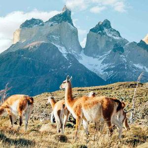 Honeymoon + Homestead fund