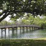 Spring Lake Town Center and Lake