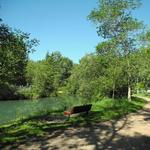 Bowness Park