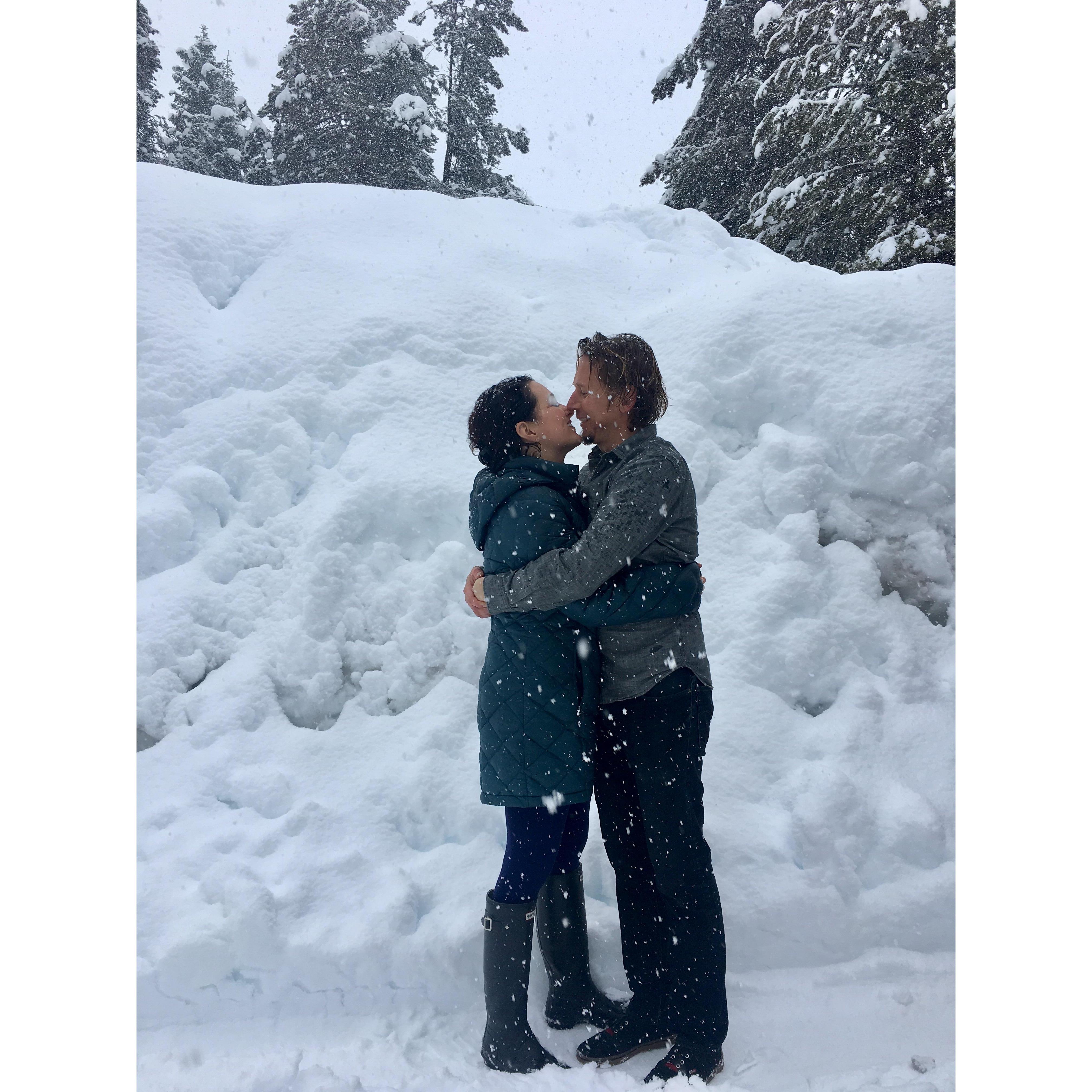 Buried in the snow!