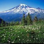Mount Rainier National Park