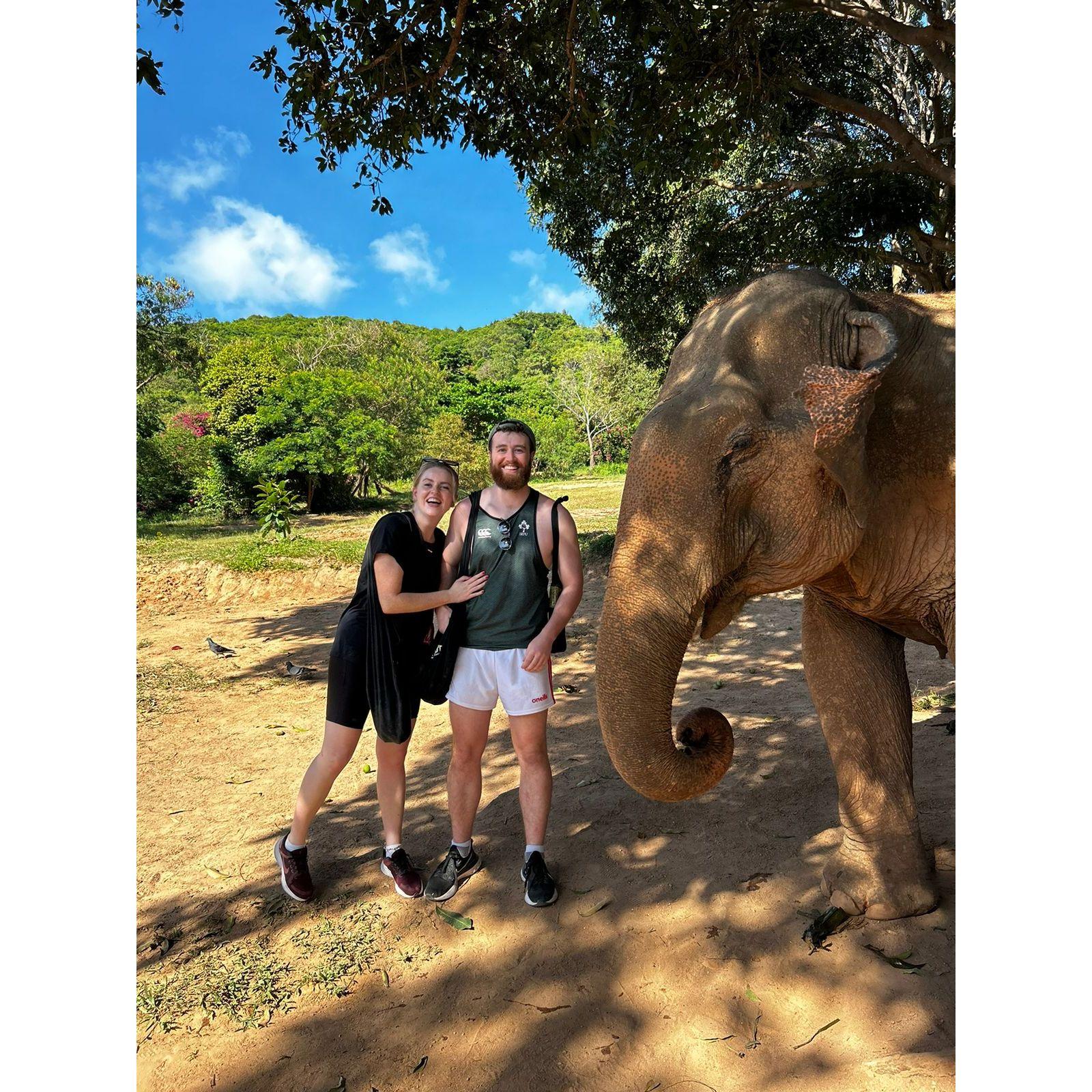 Elephant Sanctuary in Thailand