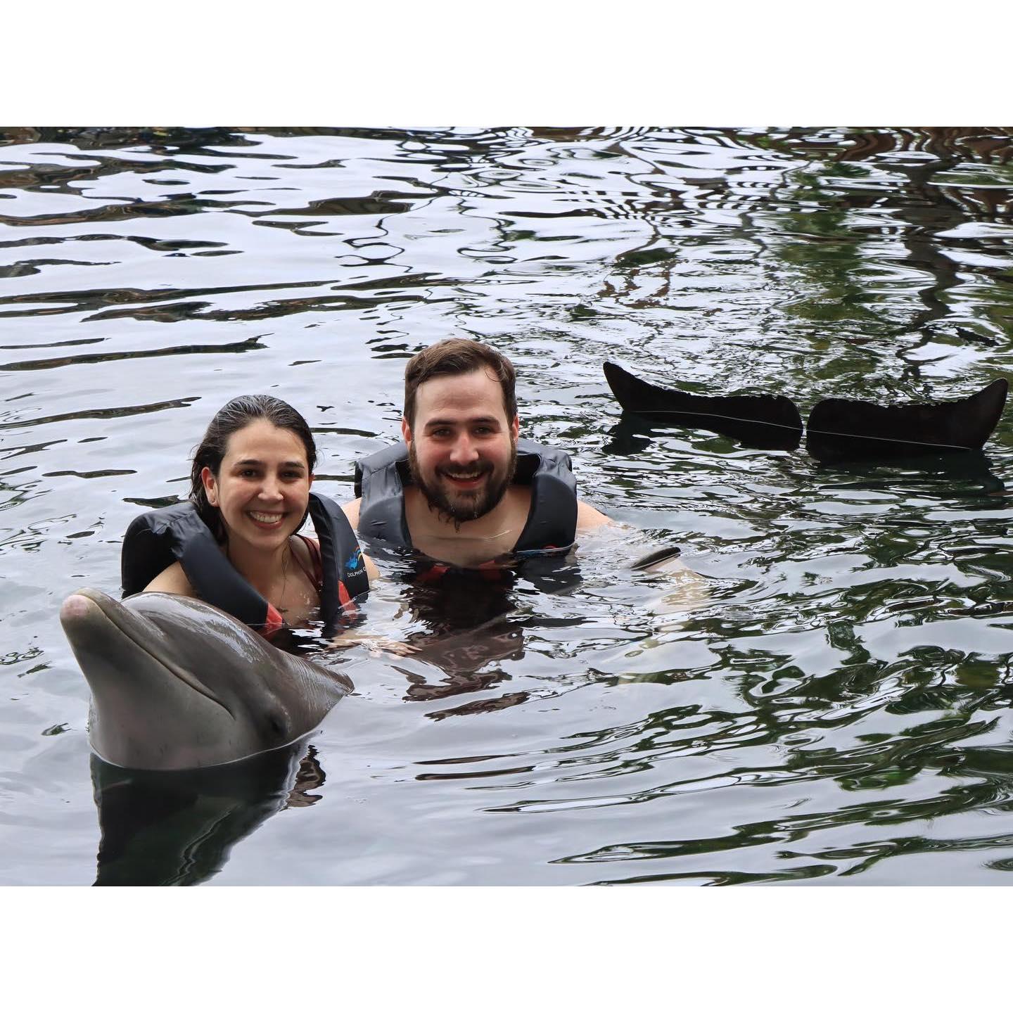 Nat fulfilled Maggie's life-long dream of meeting a dolphin. Tied with our engagement as the highlight of our trip to Hawaii.