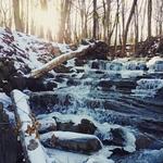 Falling Waters Preserve