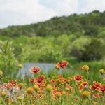 Cedar Ridge Preserve