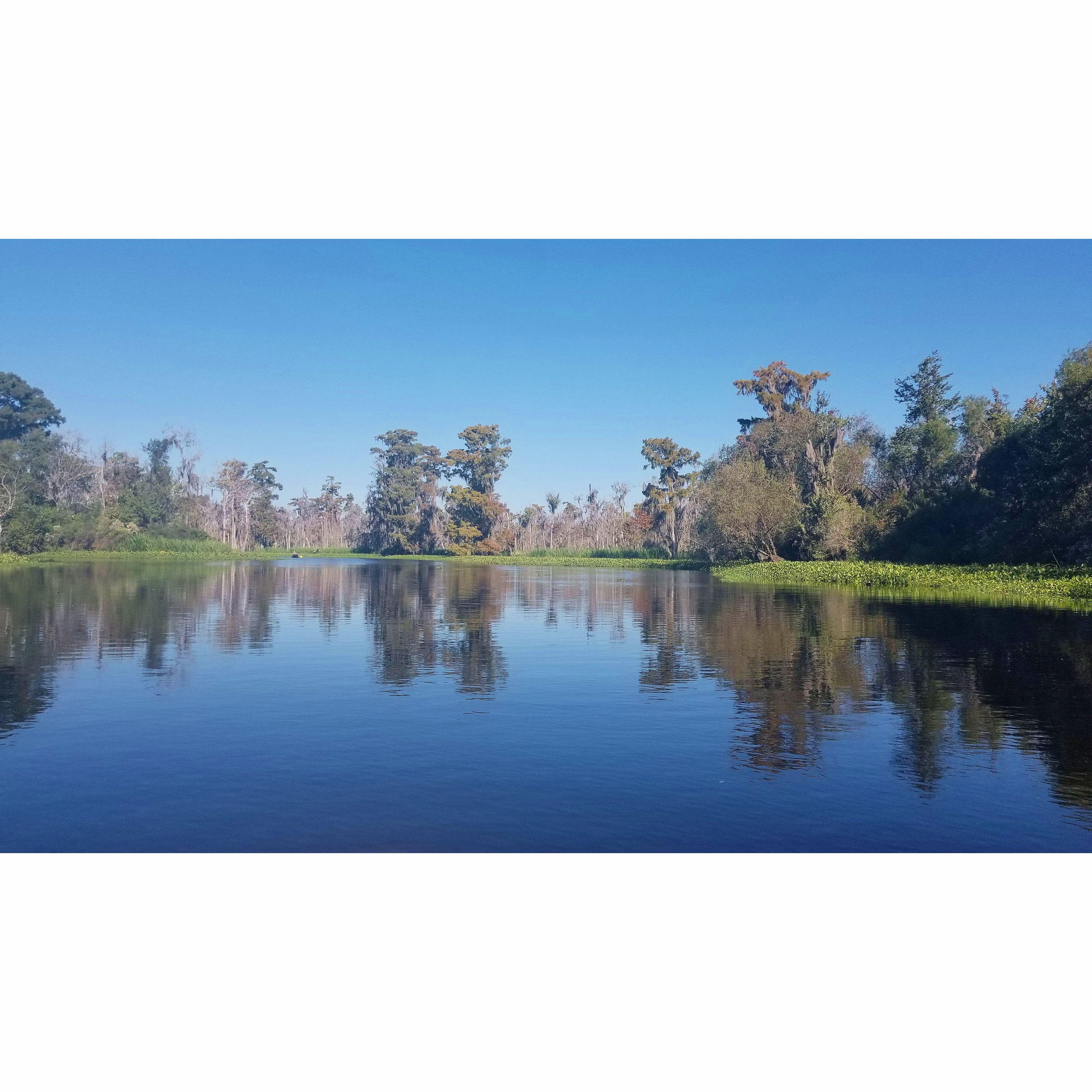 Kayaking the Bayou