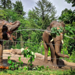 The Oregon Zoo