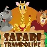 Safari Trampoline Park