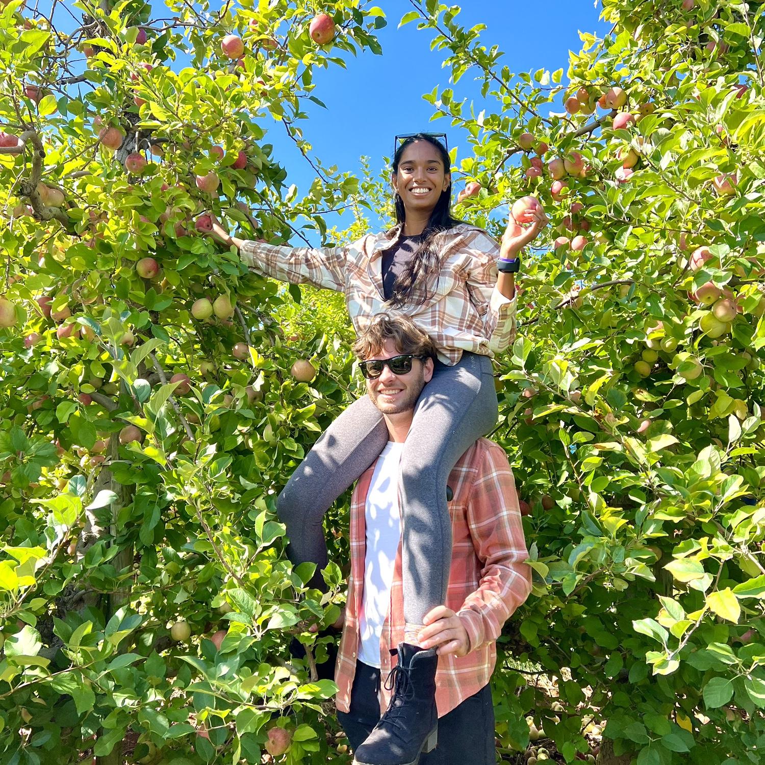 apple picking 🍎