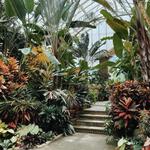 Planting Fields Arboretum