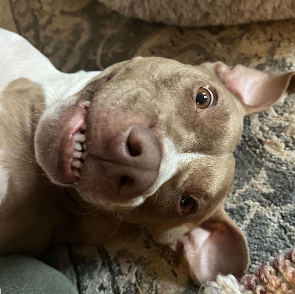 OUR BEAUTIFUL ANGEL PRIDE AND JOY