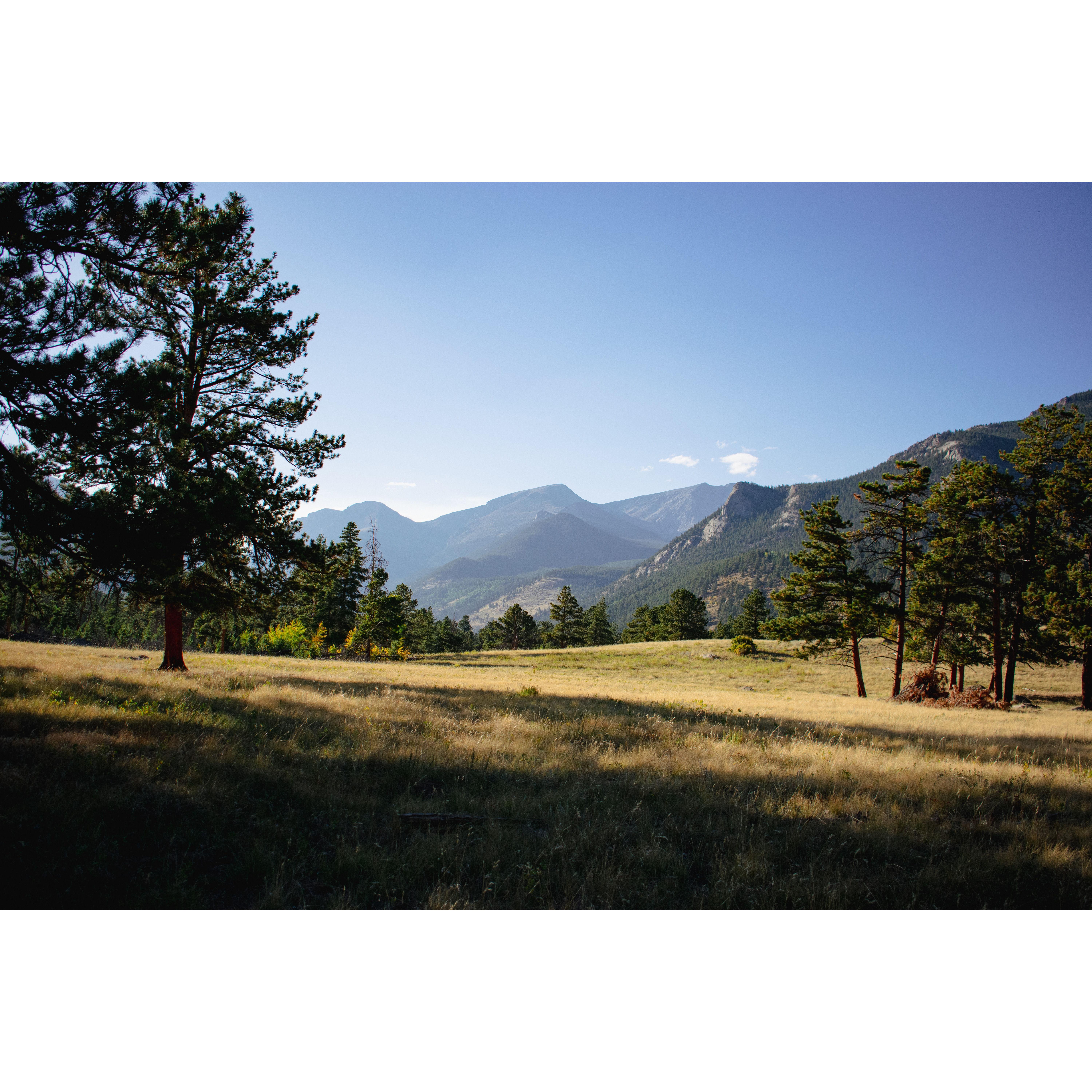 This is the field in Estes Park, Colorado where we got engaged. We knew that I'd say yes, but the wrangler leading our horse riding group didn't...
