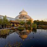 New York Botanical Garden