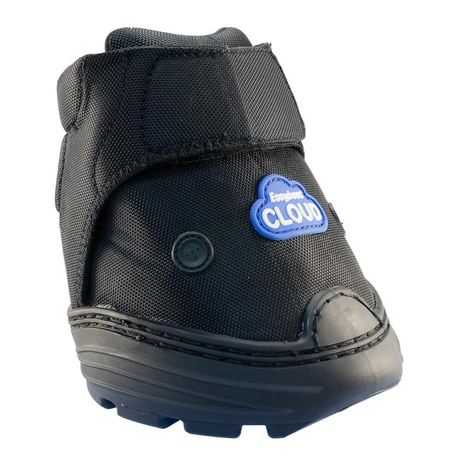 Easyboot Cloud (1)