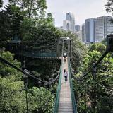 KL Forest Eco Park Canopy Walk