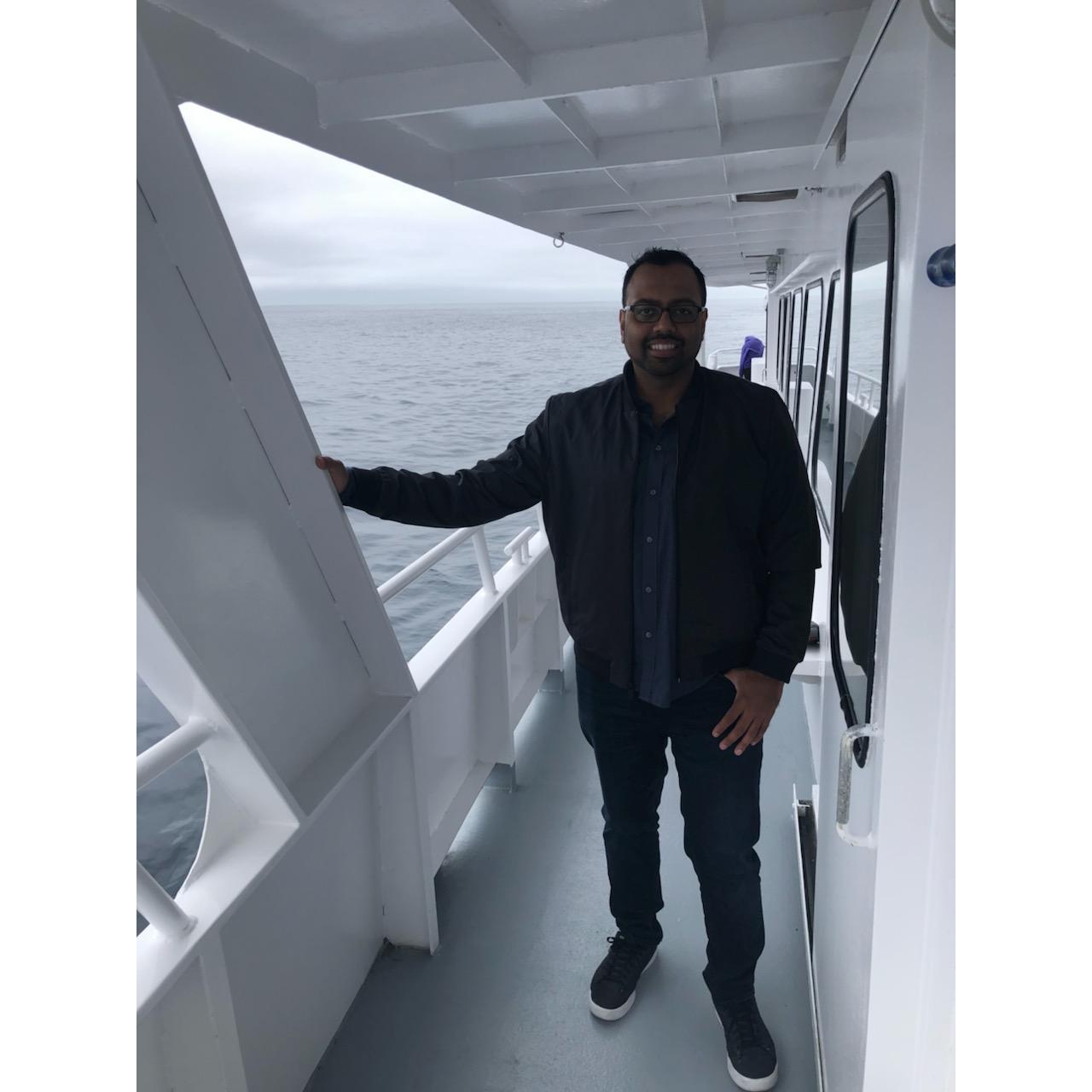 Whale Watching - Monterey, CA
