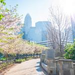 Romare Bearden Park