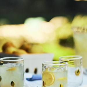 Icon Juice Glass : Lemon