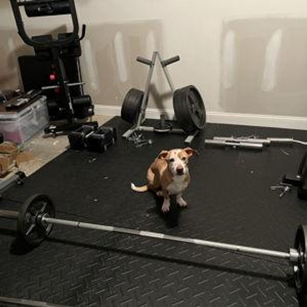 Jahan's Home Gym