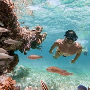 Small-Group Cruising and Snorkeling Catamaran Tour