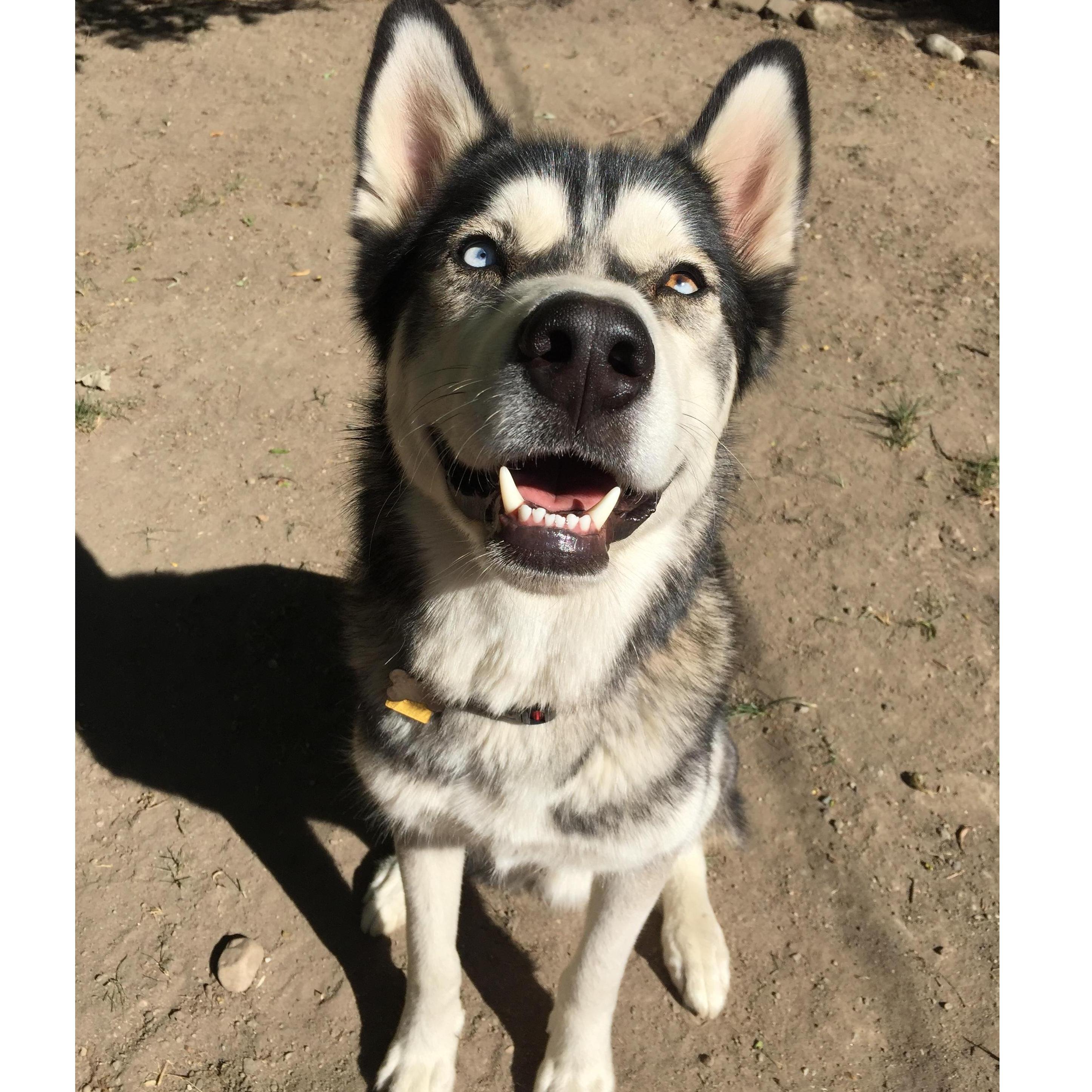 Max