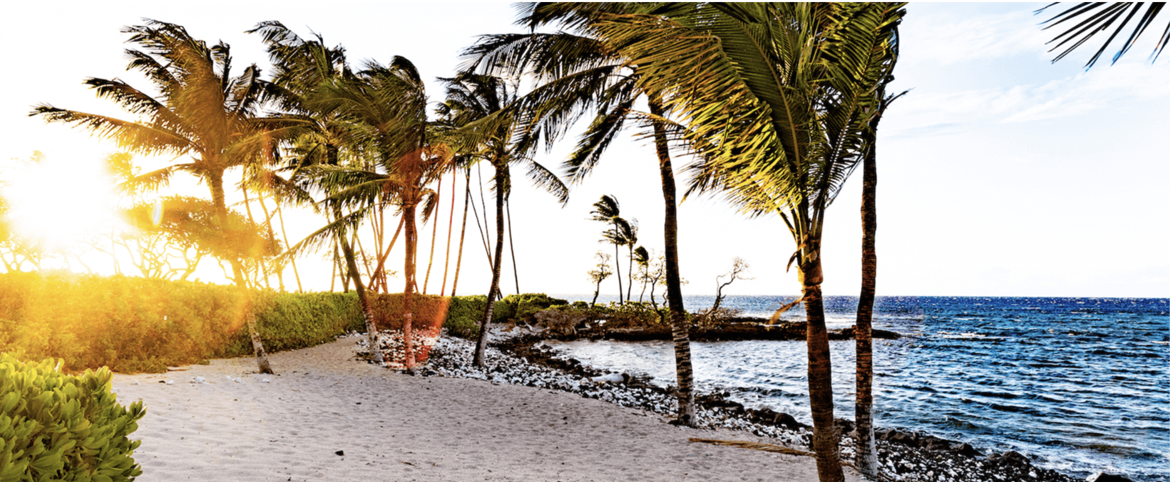 The Wedding Website of Kelsey Meyers and Dan Phillips