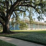 The Menil Collection