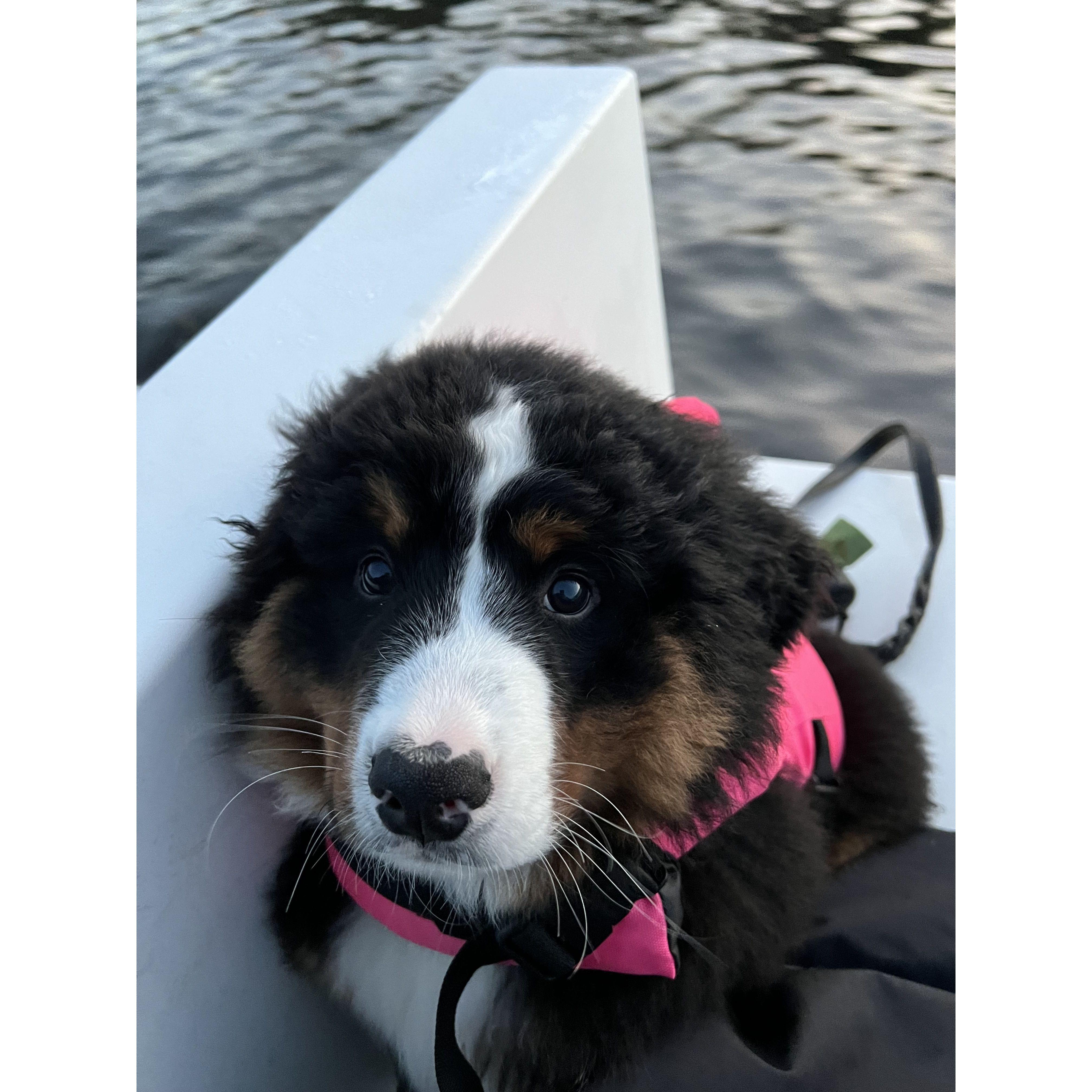 Newest Tufts Assistant Coach, Frankie! Fall 2022.