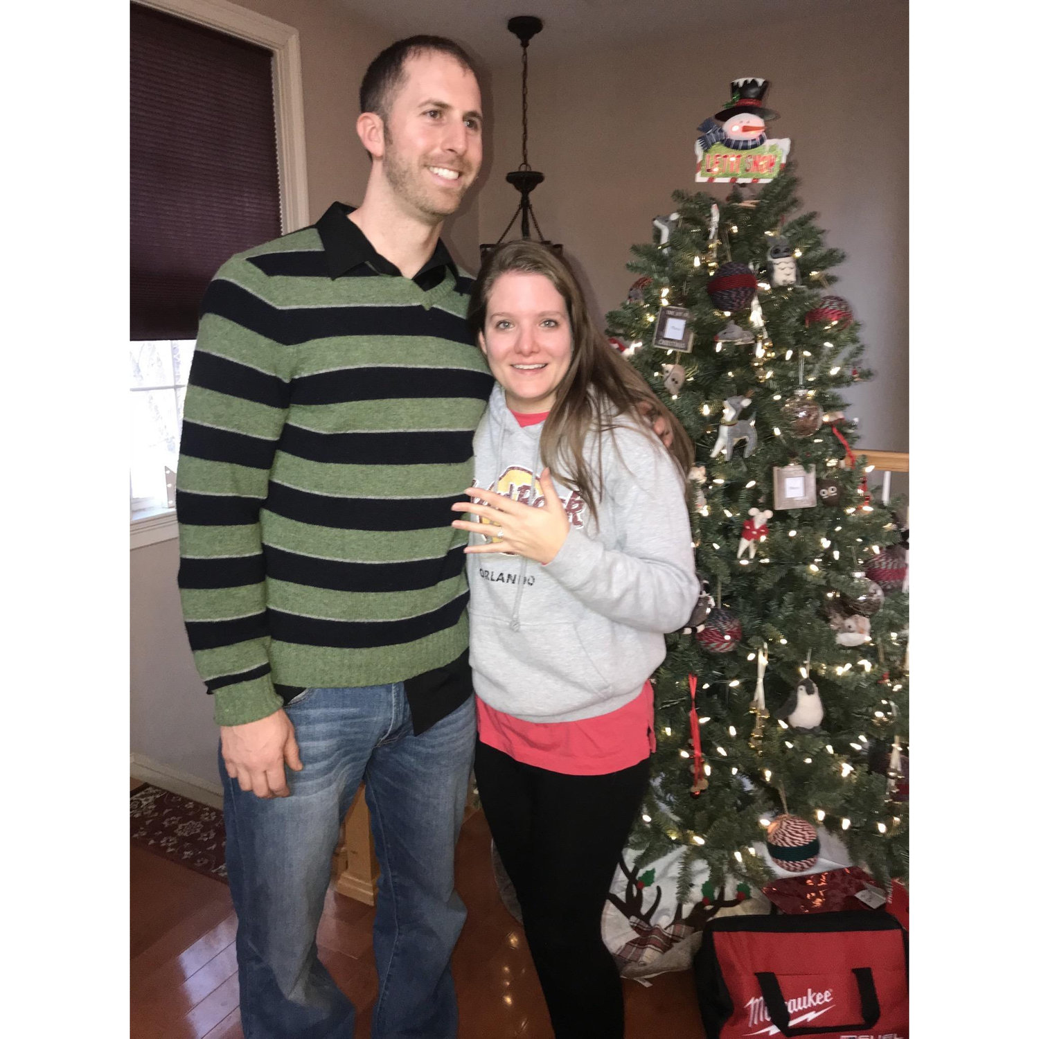 12/25/2018 - Christmas Day Proposal