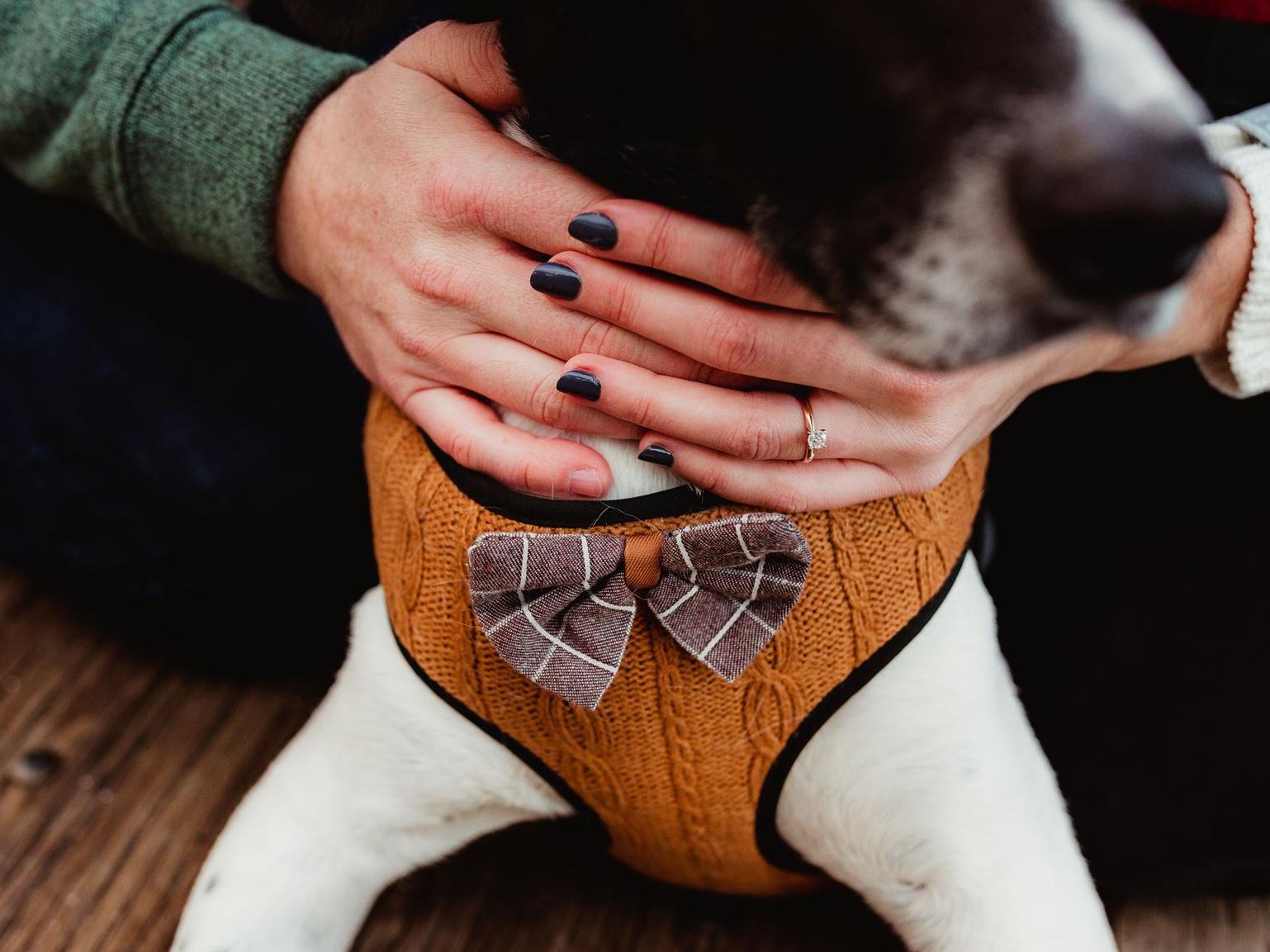 The Wedding Website of Amanda Alexander and Michael Baldwin