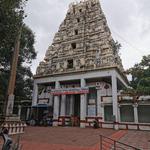 Bull temple