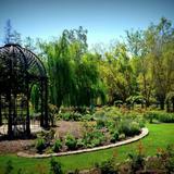 Descanso Gardens