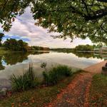 Delaware Park