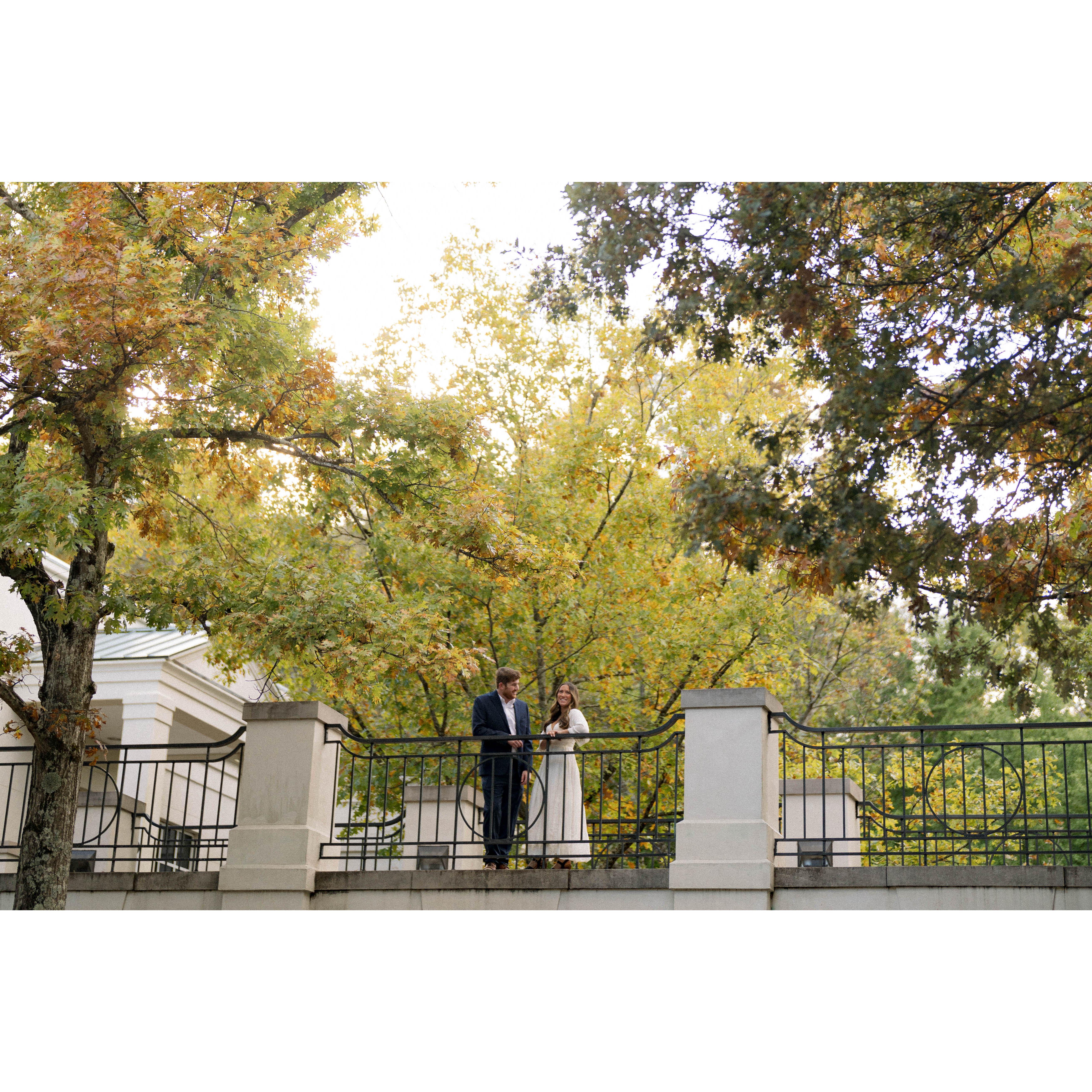 These photos are from our engagement shoot at the Birmingham Botanical Gardens on October 25th. Shot by Alea Hunt, "By the Hunts."
