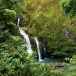 The Road to Hana