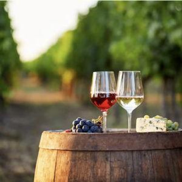 Wine in Florence