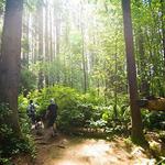 Paradise Valley Conservation Area Parking and Trail Head