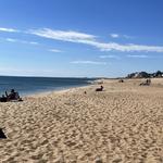 Plum Island