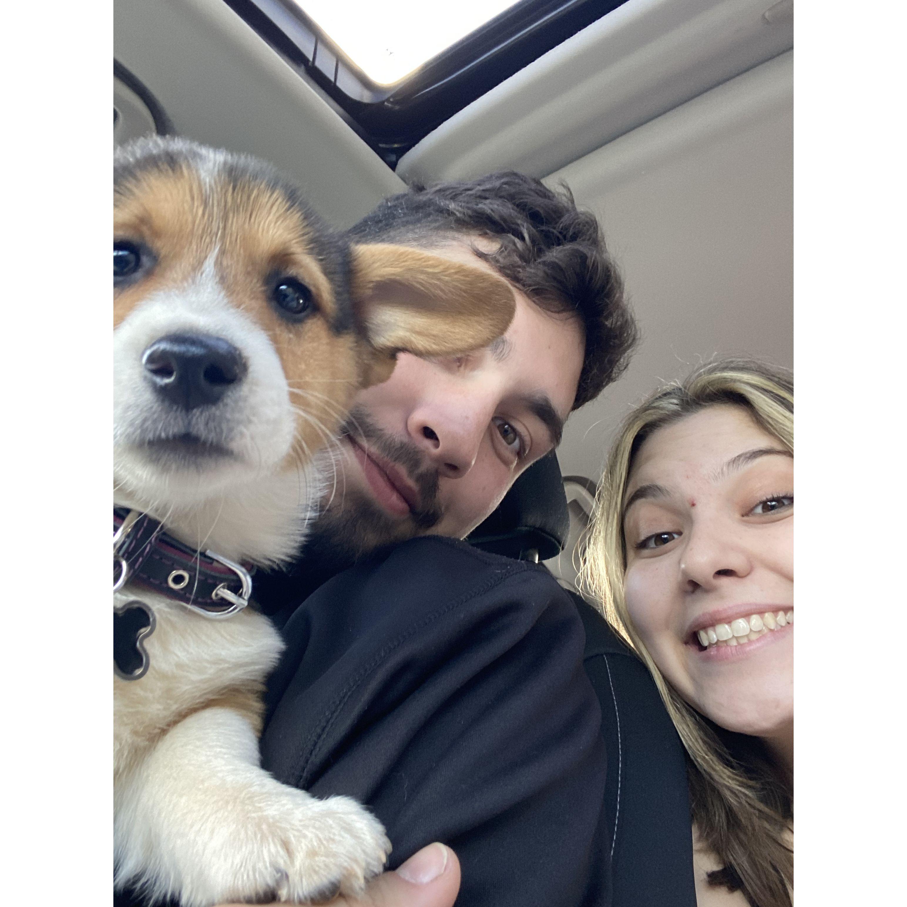 We picked up Barley!
