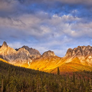National Park Pass