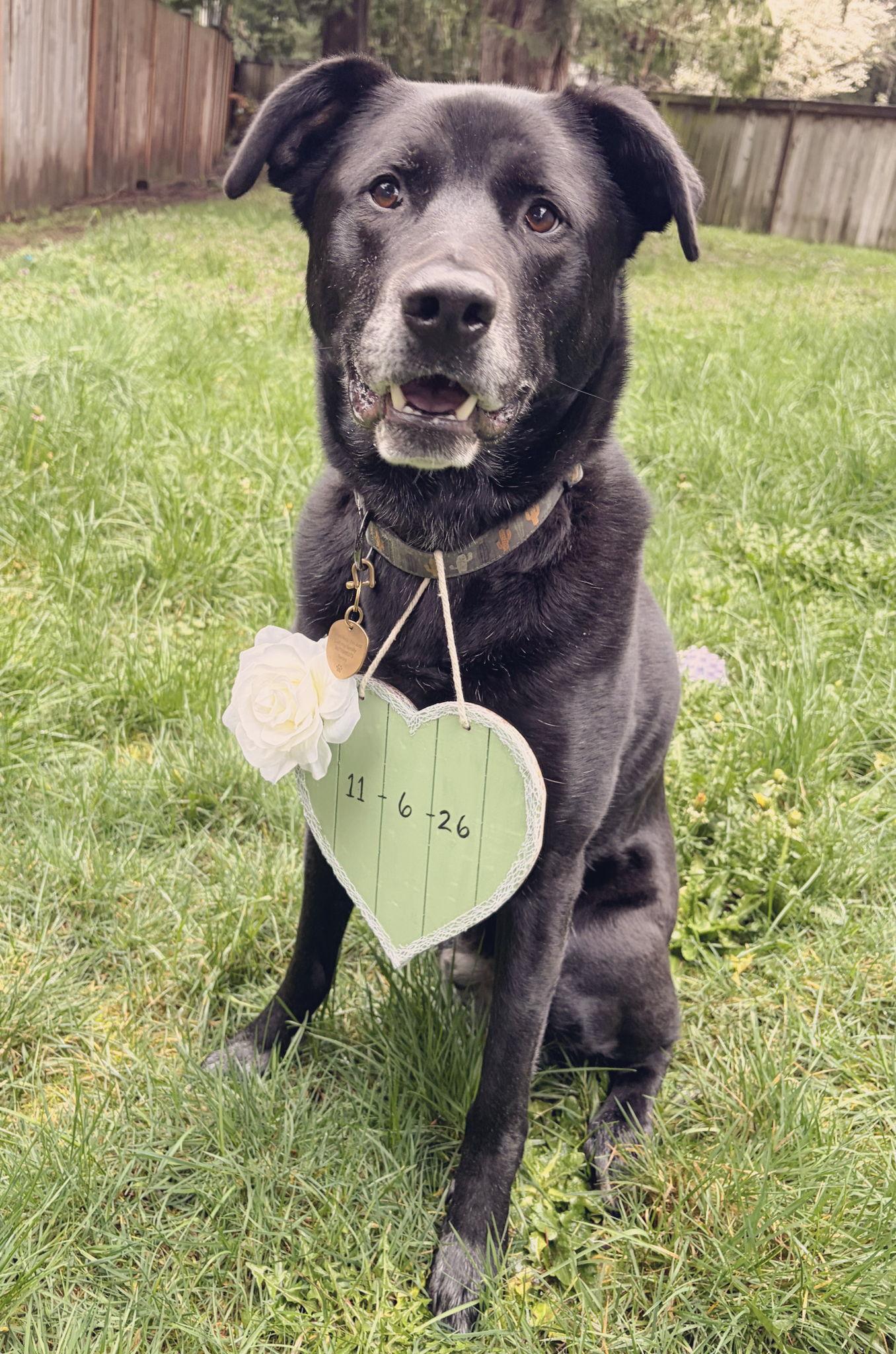 The Wedding Website of Ellie Flynn and Eathan Campbell