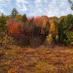 Pulpit Rock Conservation Area
